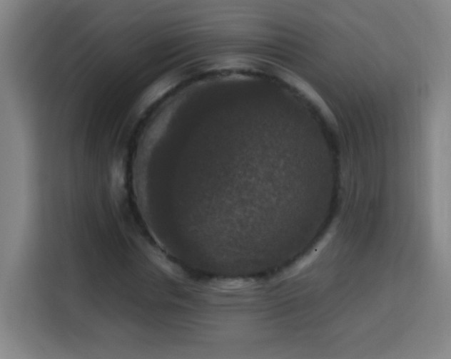 X0000113950826200910021504