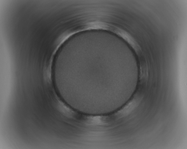 X0000113950828200910021504