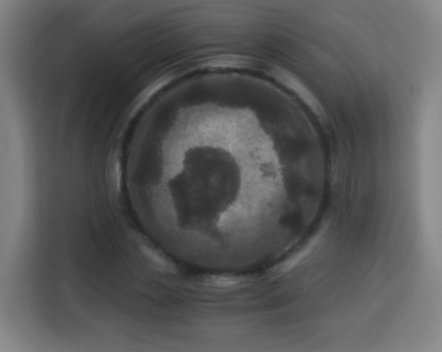 X0000113950829200910021504