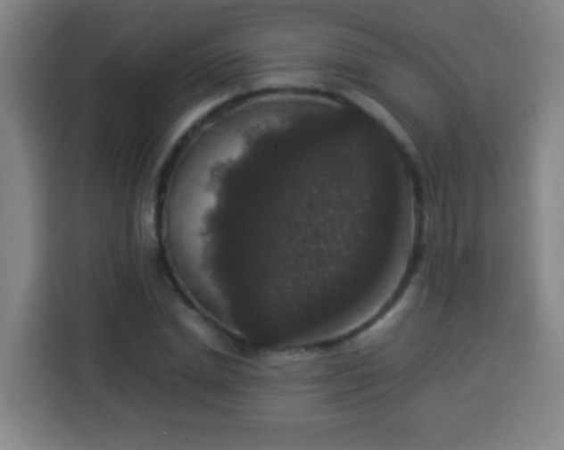 X0000113950830200910021504