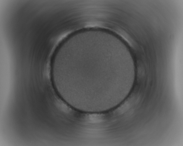 X0000113950832200910021504