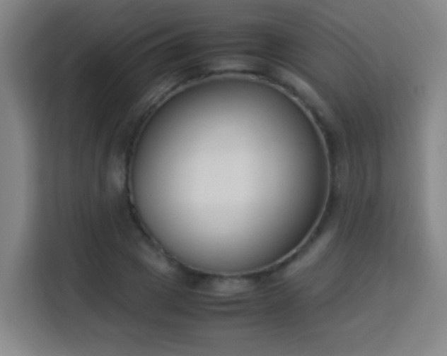 X0000113950833200910021504