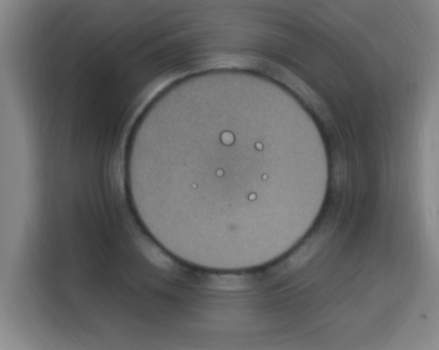 X0000113950836200910021504