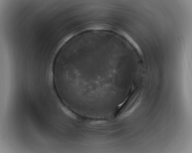 X0000113950837200910021504