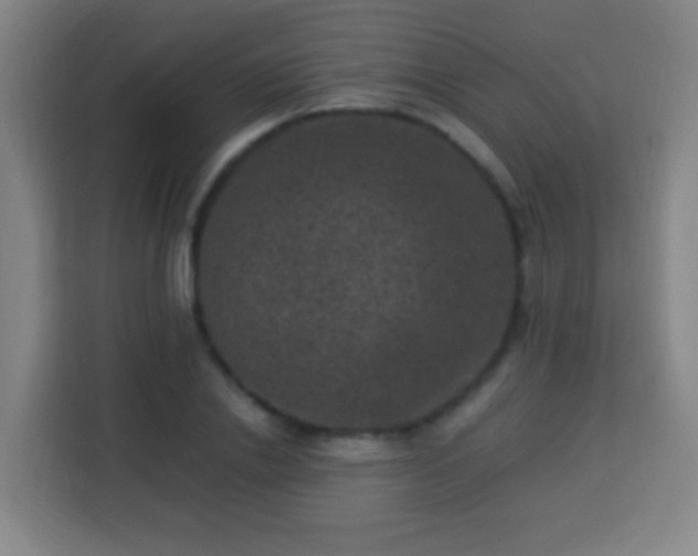 X0000113950838200910021504