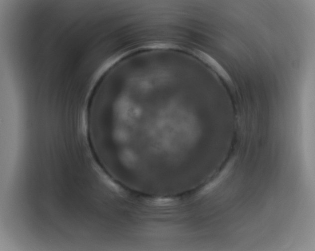 X0000113950839200910021504