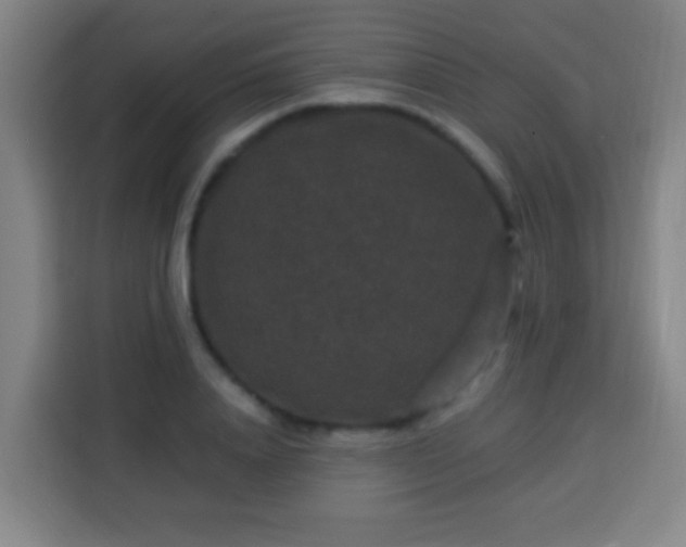 X0000113950840200910021504