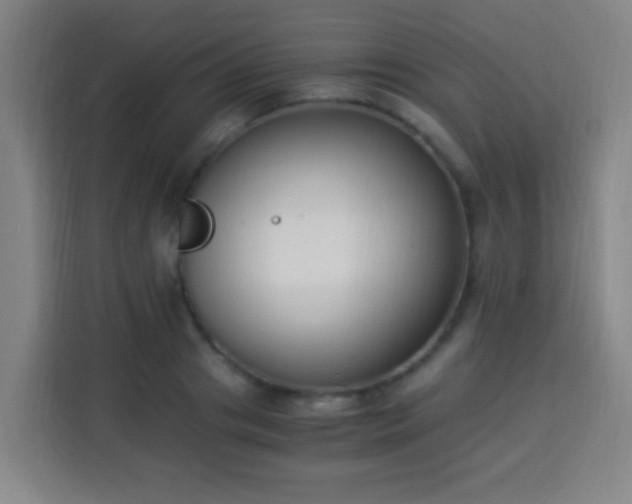 X0000113950841200910021504