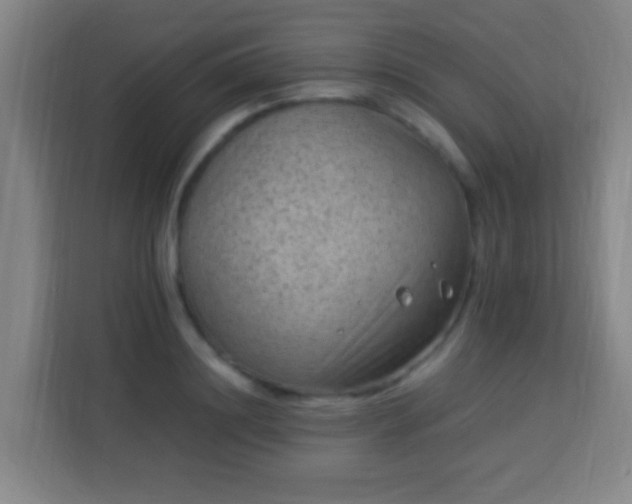 X0000113950844200910021504