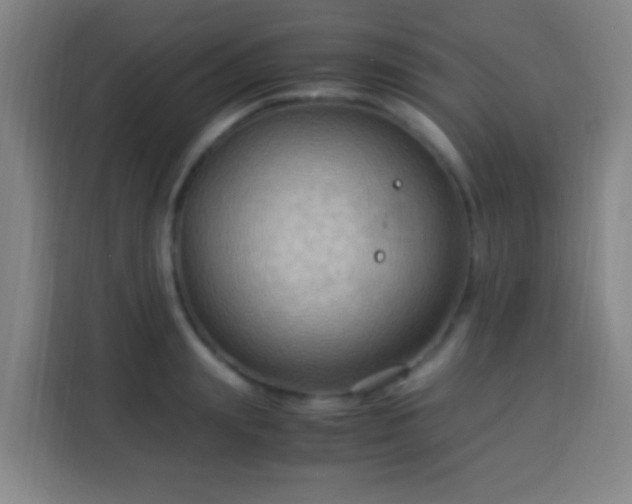 X0000113950847200910021504