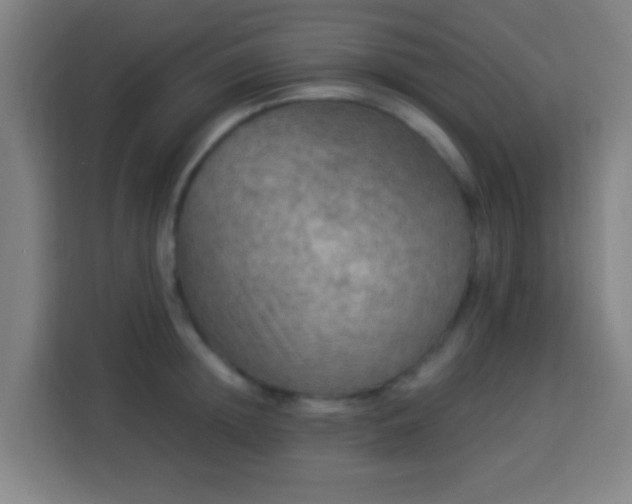 X0000113950852200910021504