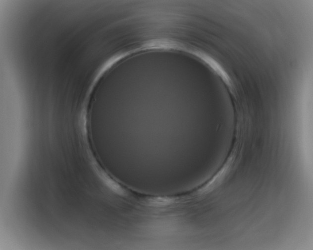 X0000113950854200910021504