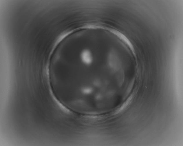 X0000113950855200910021504