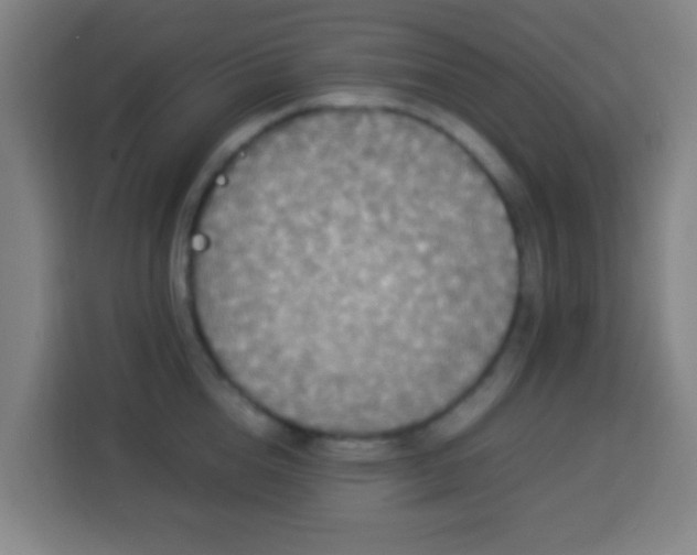 X0000113950856200910021504