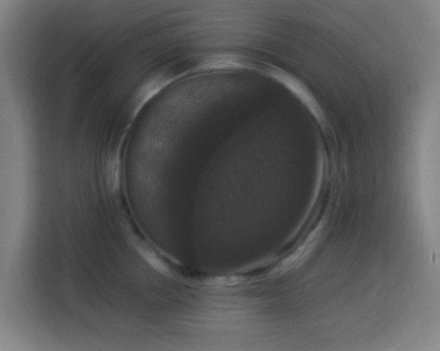 X0000113950858200910021504