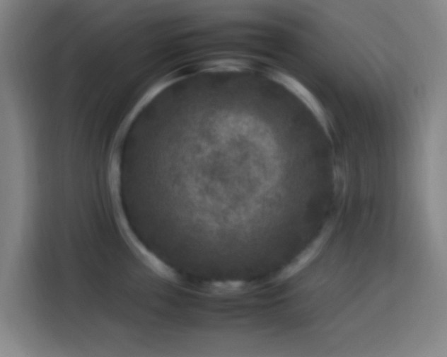 X0000113950859200910021504