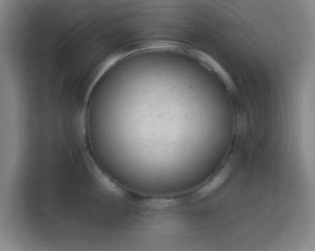 X0000113950860200910021504