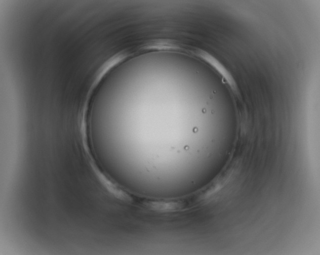 X0000113950861200910021504