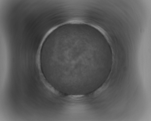 X0000113950864200910021504