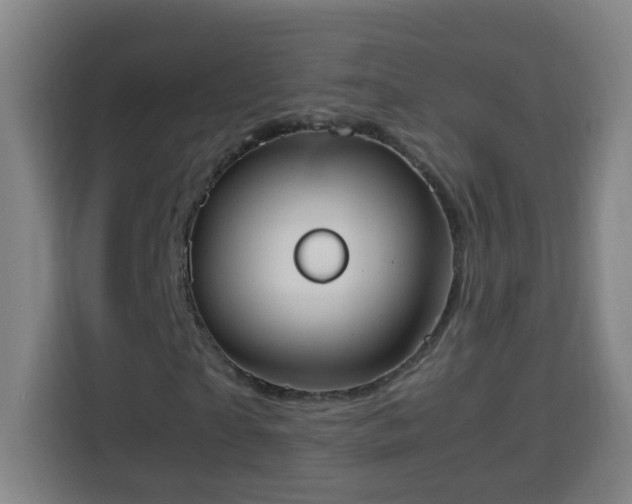 X0000113950865200910021504