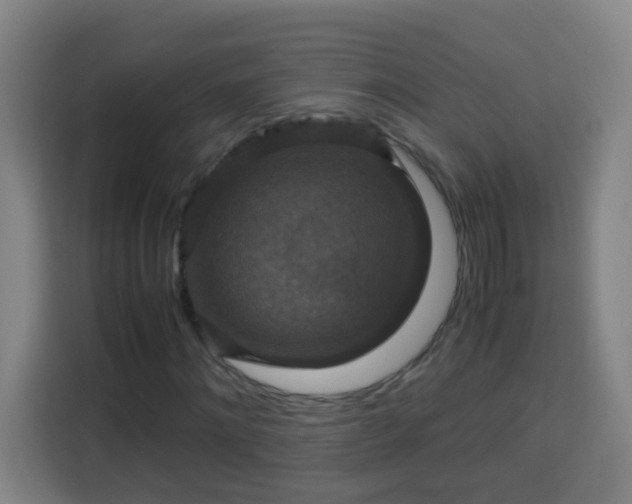 X0000113950868200910021504