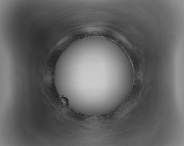 X0000113950869200910021504