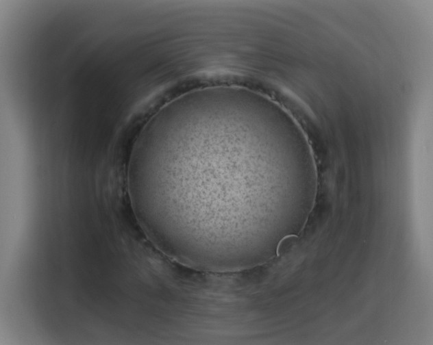 X0000113950870200910021504