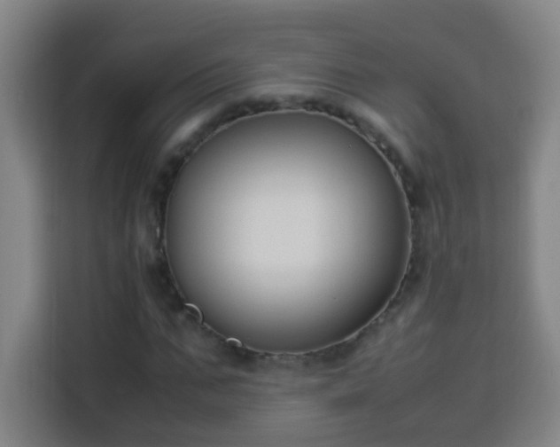 X0000113950871200910021504