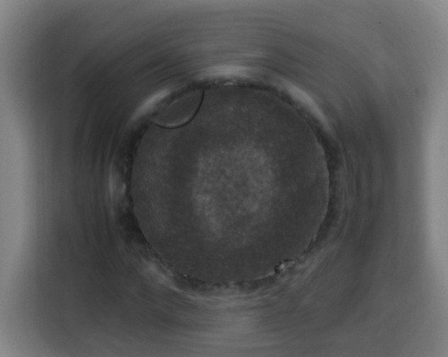 X0000113950872200910021504