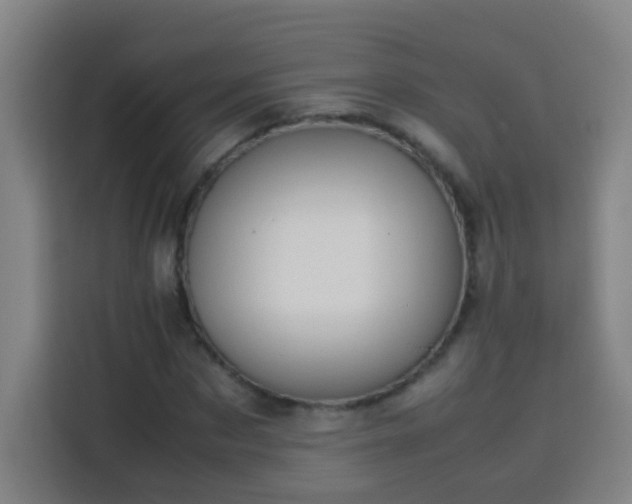 X0000113950873200910021504