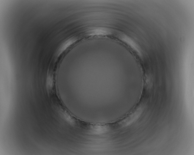 X0000113950874200910021504