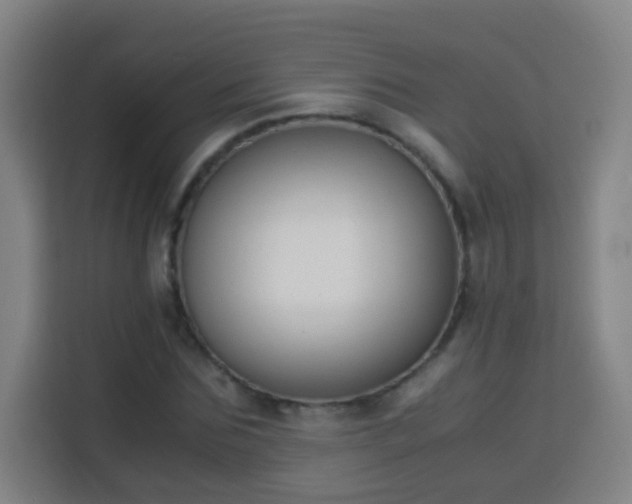 X0000113950875200910021504