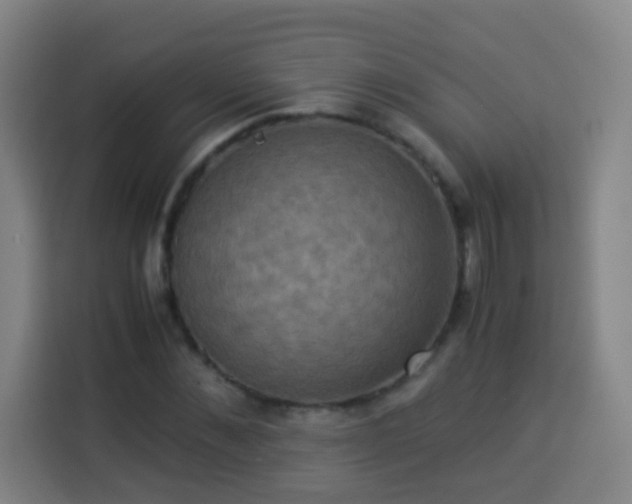 X0000113950876200910021503