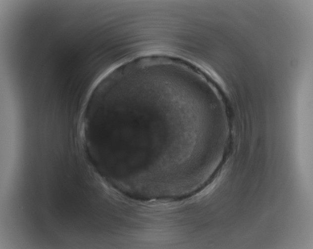 X0000113950877200910021503