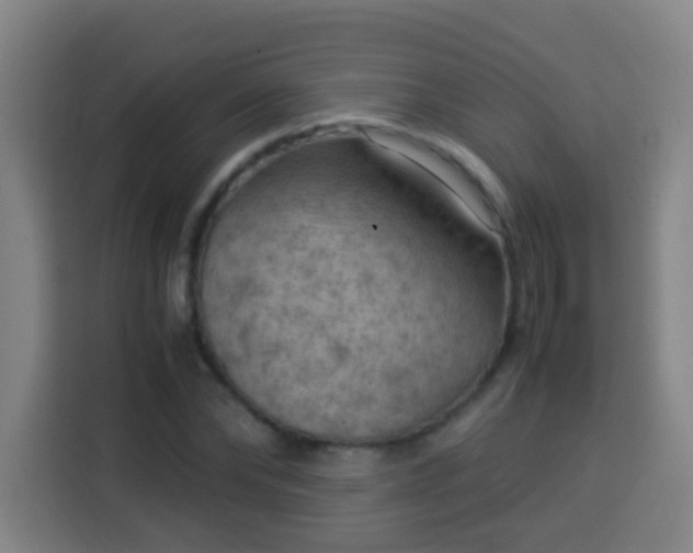 X0000113950878200910021503