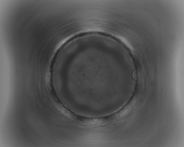 X0000113950879200910021503