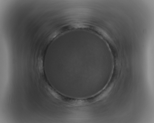 X0000113950881200910021503