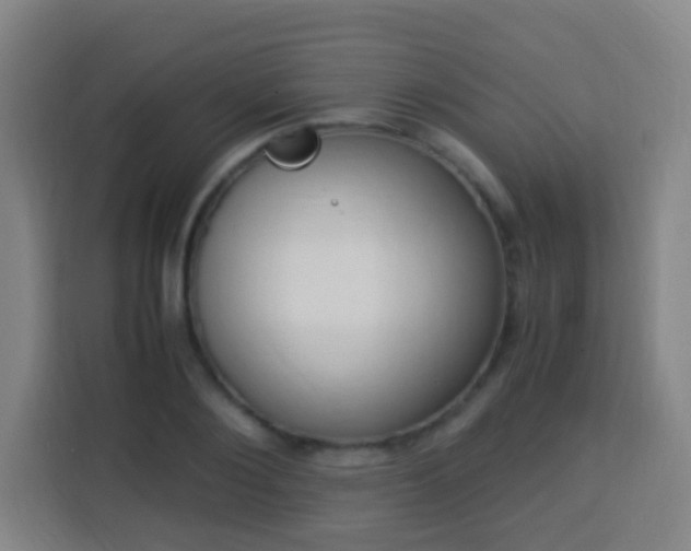 X0000113950884200910021503