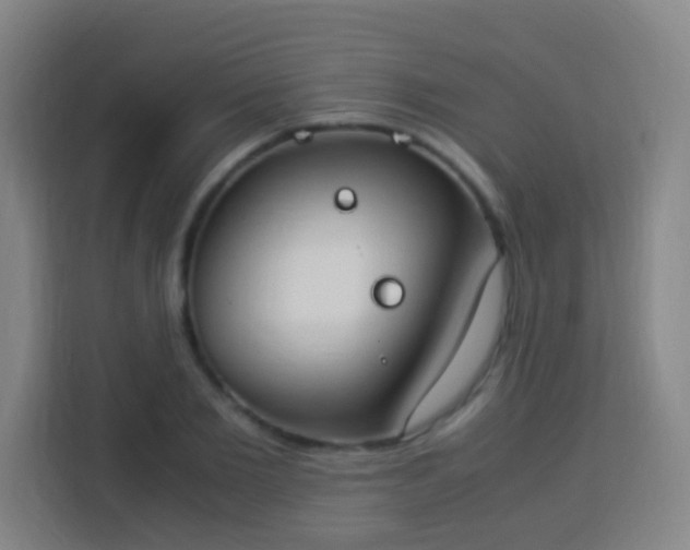 X0000113950885200910021503