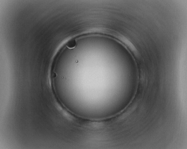 X0000113950888200910021503