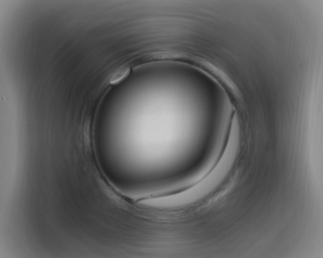 X0000113950889200910021503