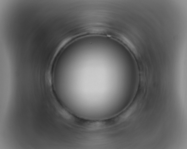 X0000113950891200910021503