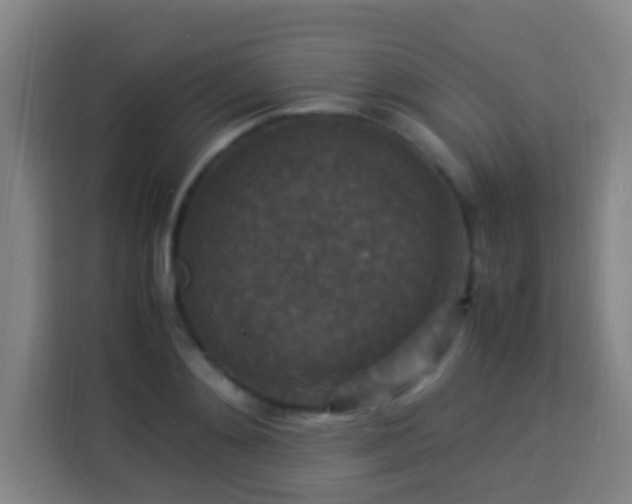 X0000113950892200910021503