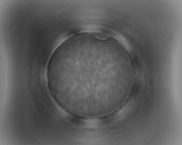 X0000113950893200910021503