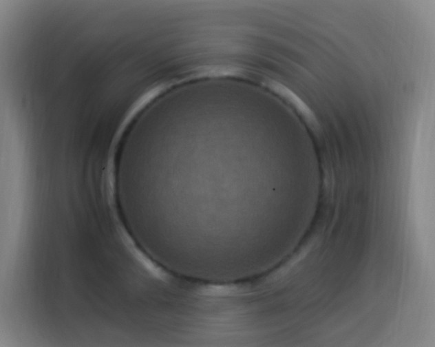 X0000113950894200910021503