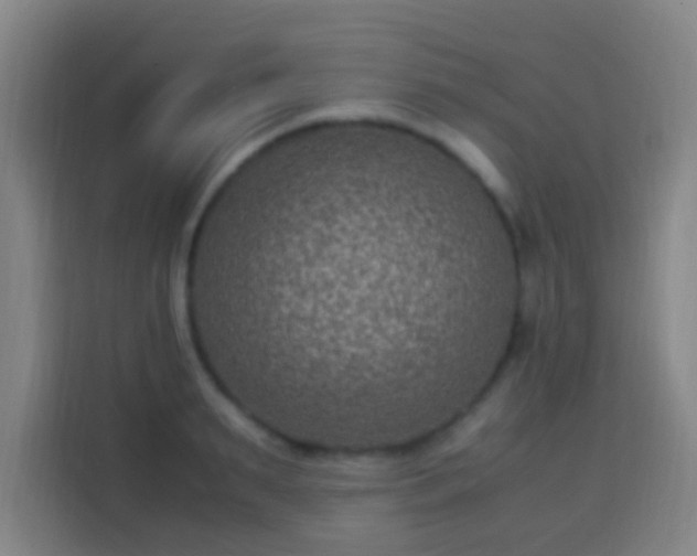 X0000113950895200910021503