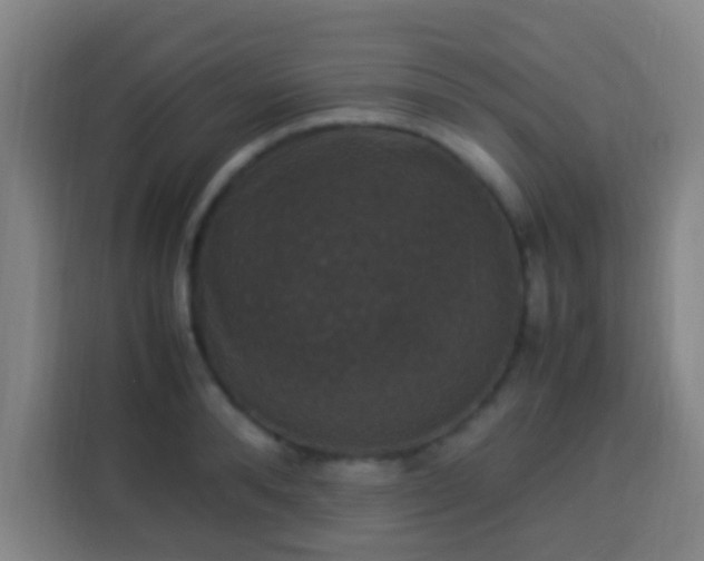 X0000113950896200910021503