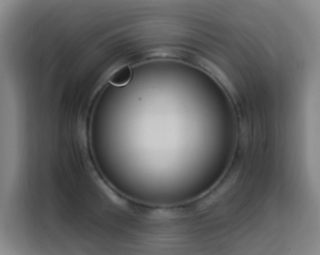 X0000113950898200910021503
