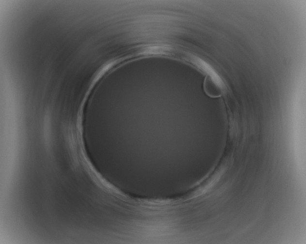 X0000113950899200910021503