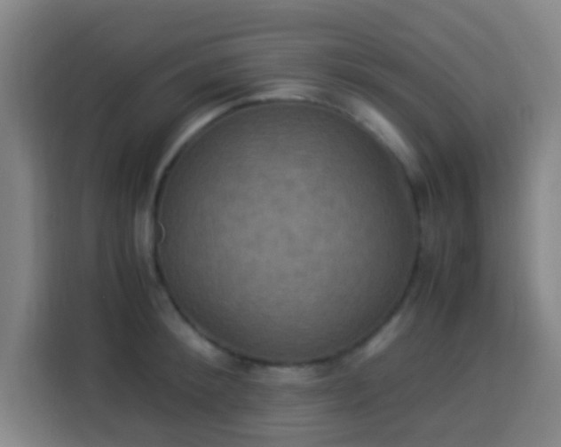X0000113950900200910021503
